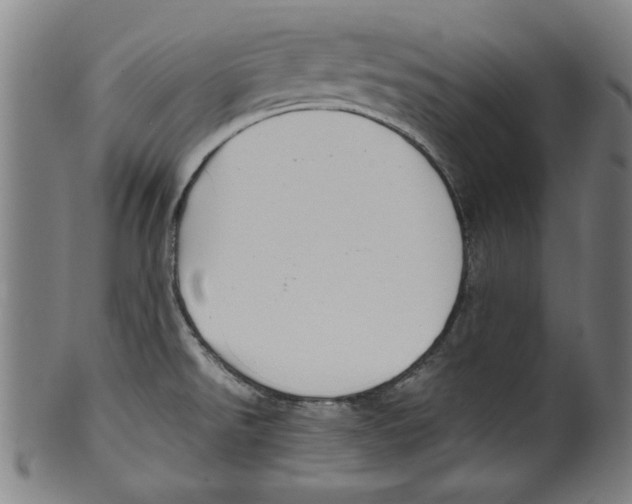 X0000099411526200806060919