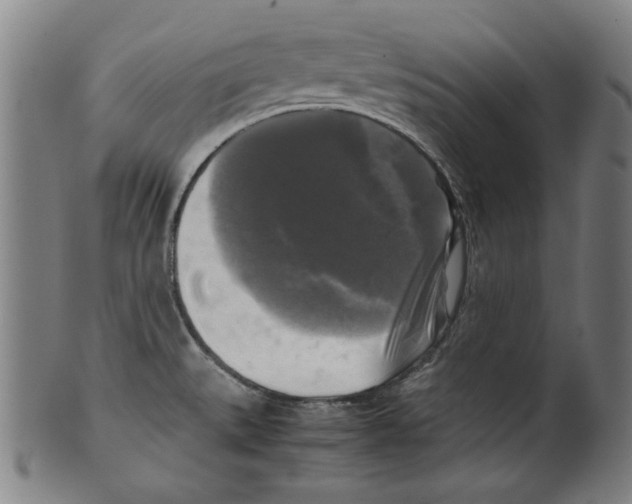 X0000099411527200806060919