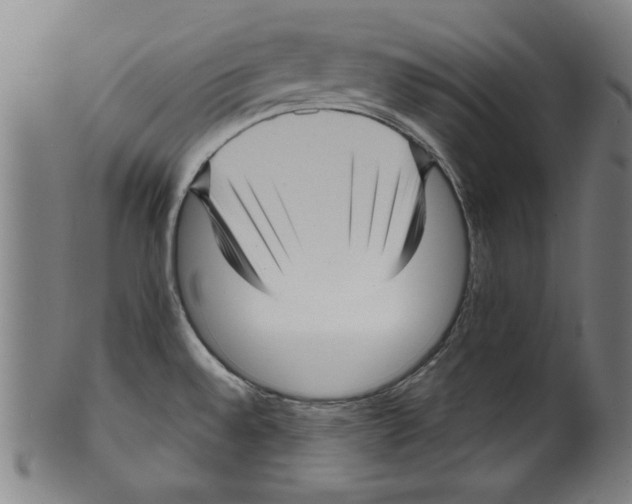 X0000099411528200806060919