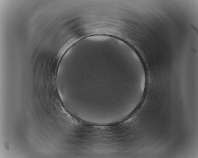 X0000099411529200806060919