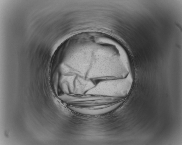 X0000099411530200806060919