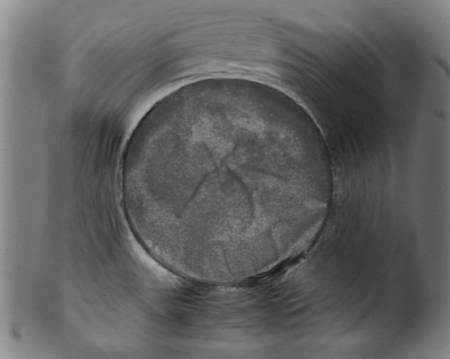 X0000099411531200806060919