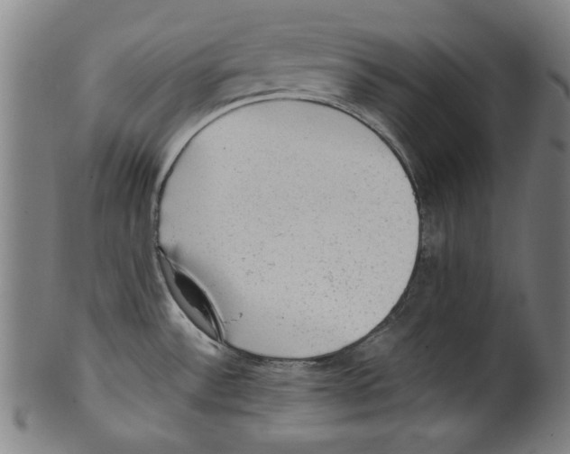 X0000099411532200806060919