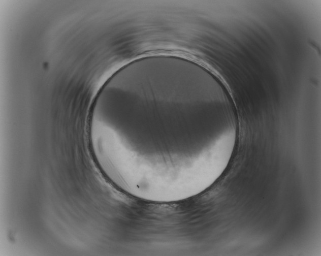 X0000099411533200806060919