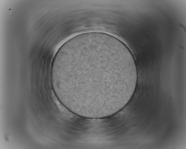 X0000099411534200806060919