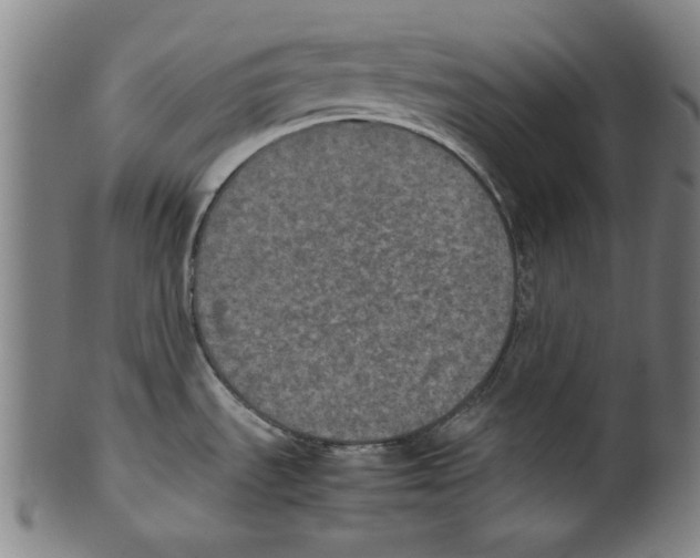 X0000099411535200806060919