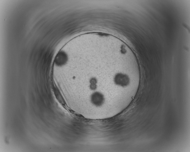 X0000099411536200806060919