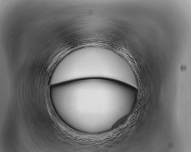 X0000099420001200805090802