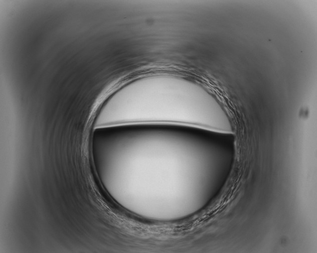 X0000099420004200805090802