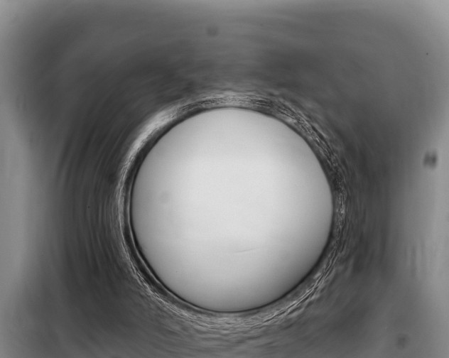 X0000099420006200805090802
