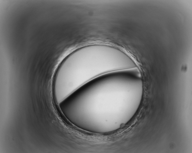 X0000099420008200805090802