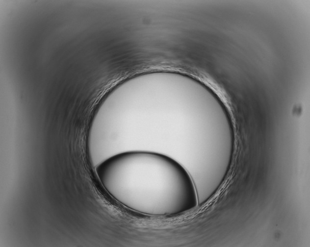X0000099420009200805090802