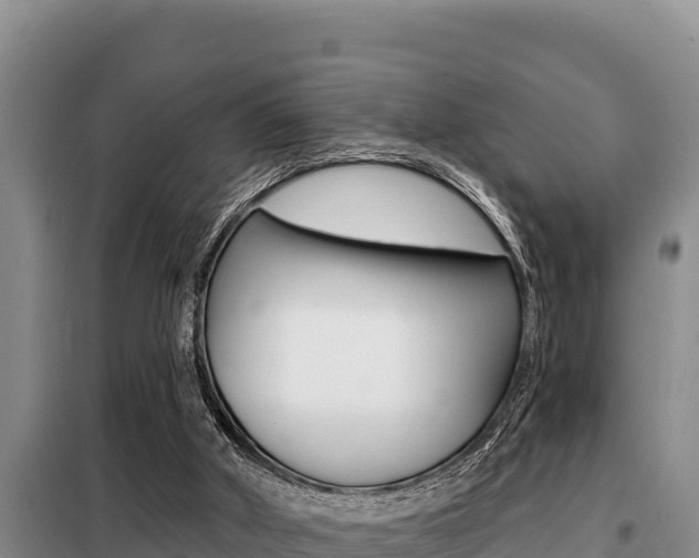 X0000099420010200805090801