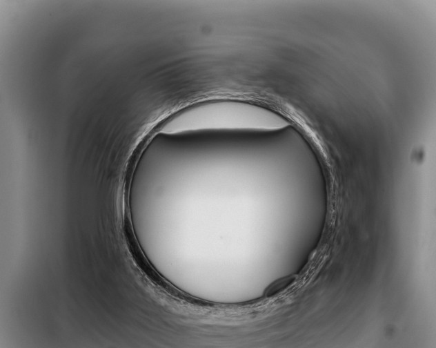 X0000099420011200805090801