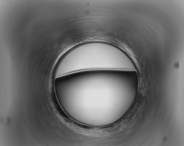X0000099420012200805090801