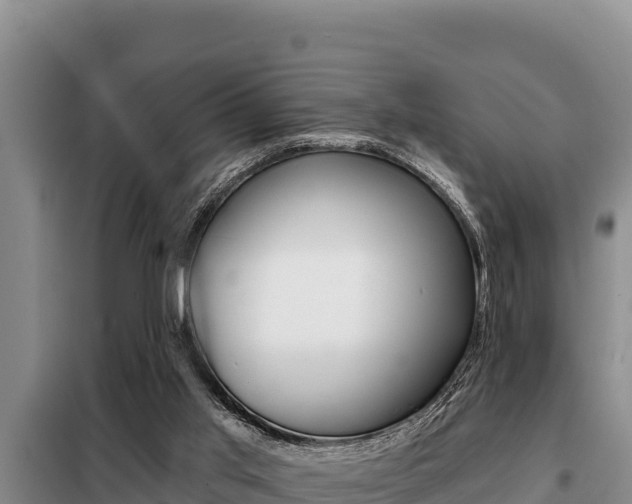 X0000099420013200805090801