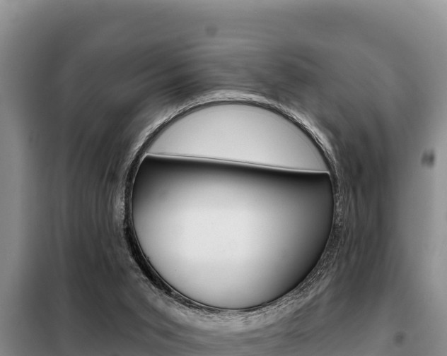 X0000099420015200805090801