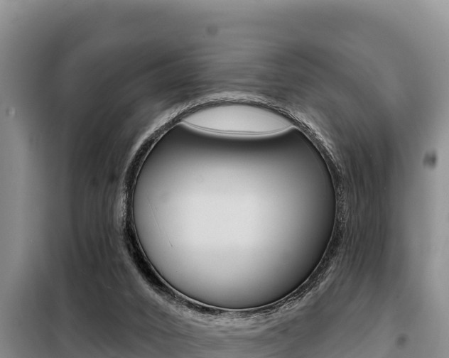X0000099420016200805090801