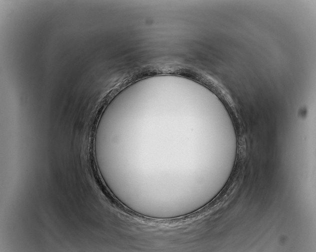 X0000099420018200805090801