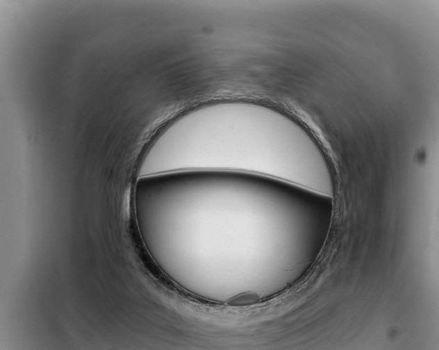 X0000099420019200805090801