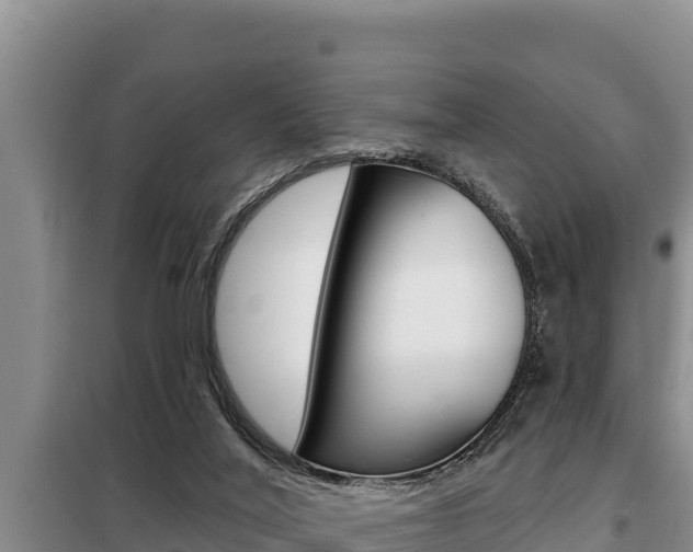 X0000099420020200805090801