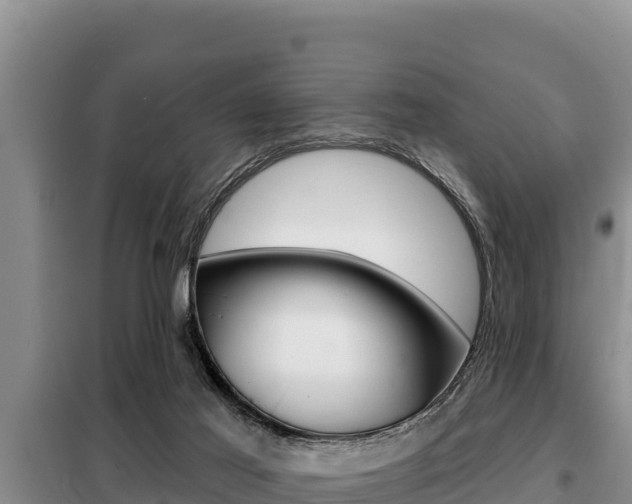 X0000099420021200805090801