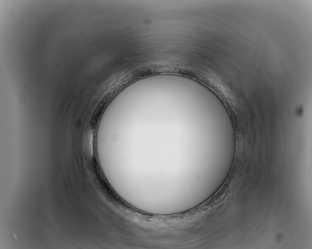 X0000099420022200805090801