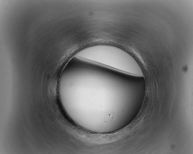 X0000099420023200805090801