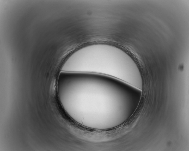 X0000099420024200805090801