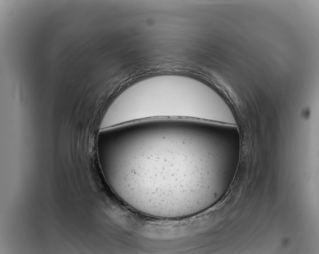 X0000099420025200805090801