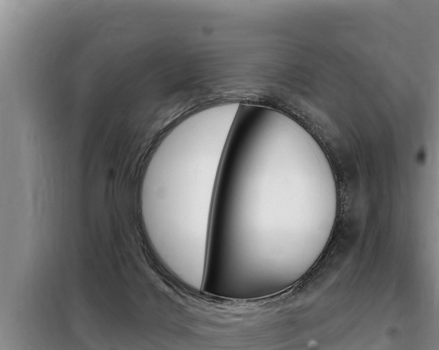 X0000099420028200805090801
