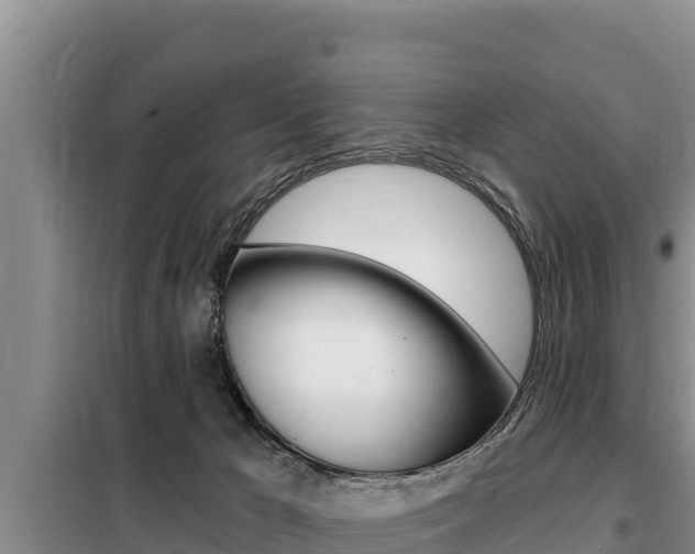 X0000099420029200805090801