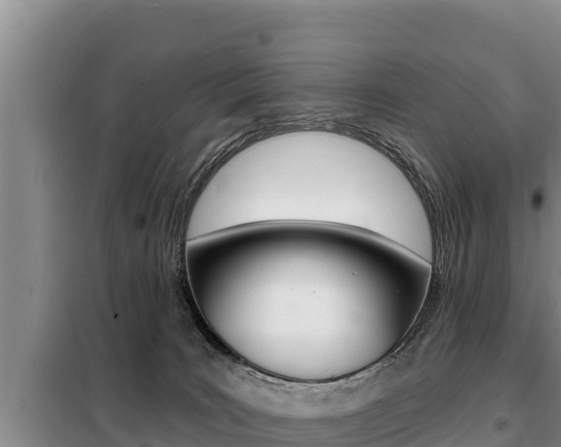X0000099420035200805090801