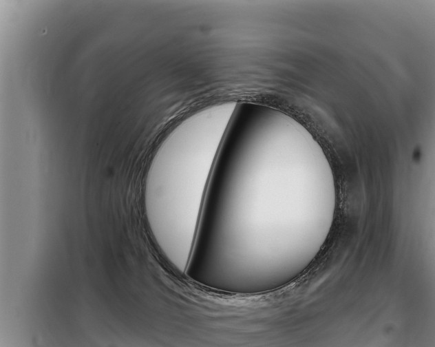 X0000099420036200805090801
