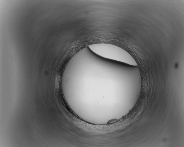 X0000099420038200805090801