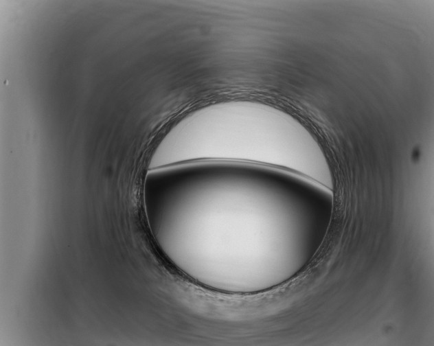 X0000099420039200805090801