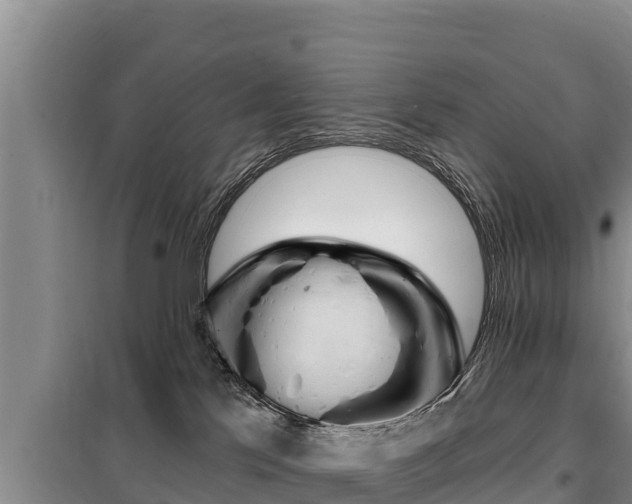 X0000099420041200805090801