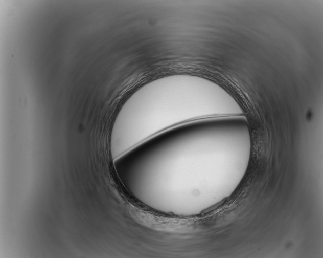 X0000099420044200805090801