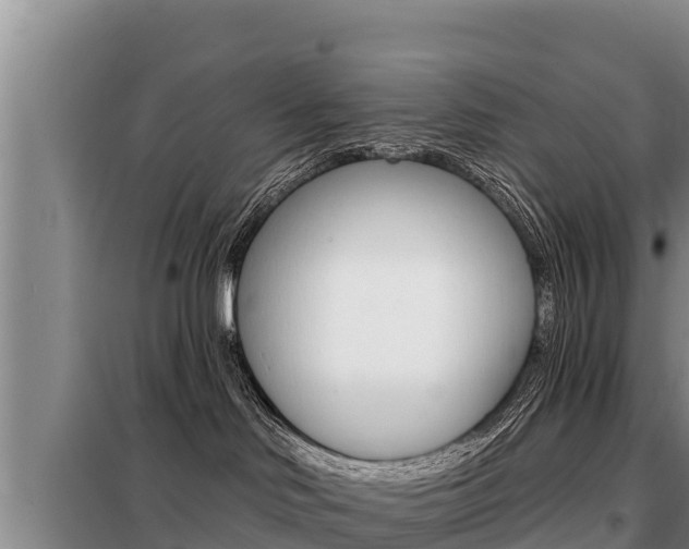 X0000099420046200805090801