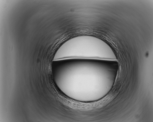 X0000099420048200805090801