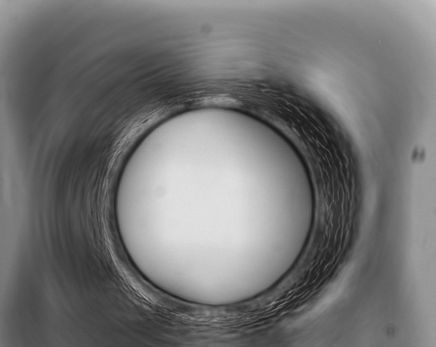 X0000099420049200805090800