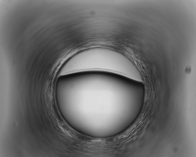X0000099420050200805090800