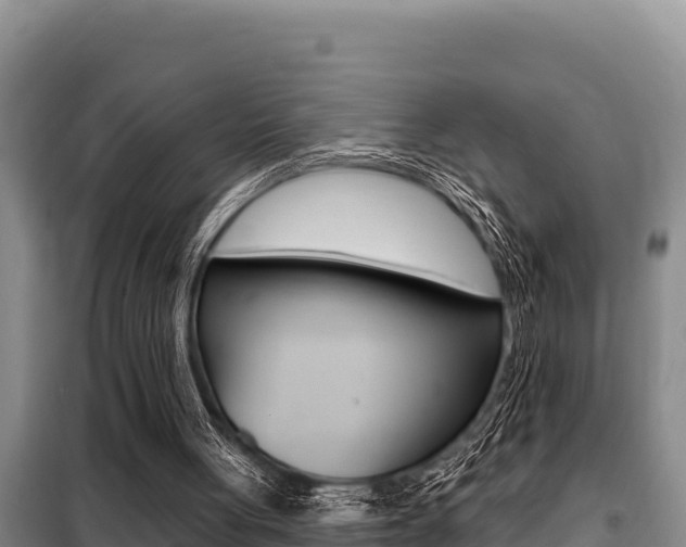 X0000099420051200805090800