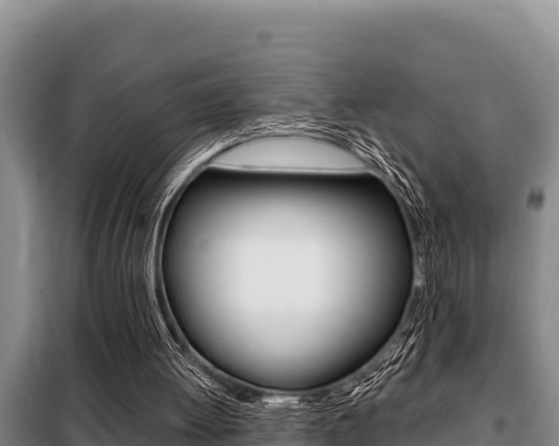 X0000099420052200805090800