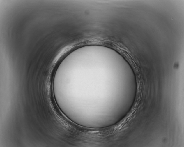 X0000099420054200805090800