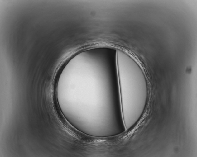X0000099420055200805090800