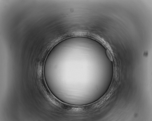 X0000099420057200805090800