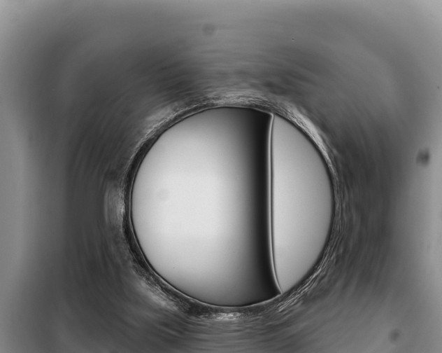 X0000099420059200805090800