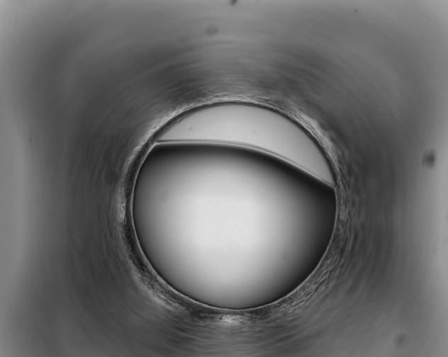 X0000099420060200805090800