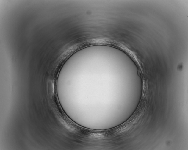 X0000099420061200805090800